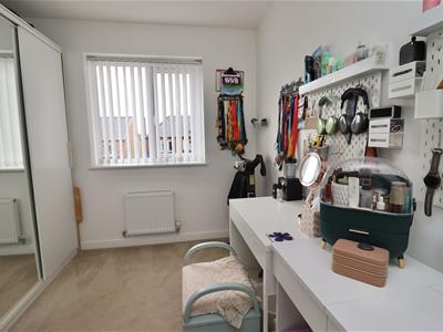 Picture 13